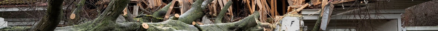 Vad behöver man vid storm i Sverige?